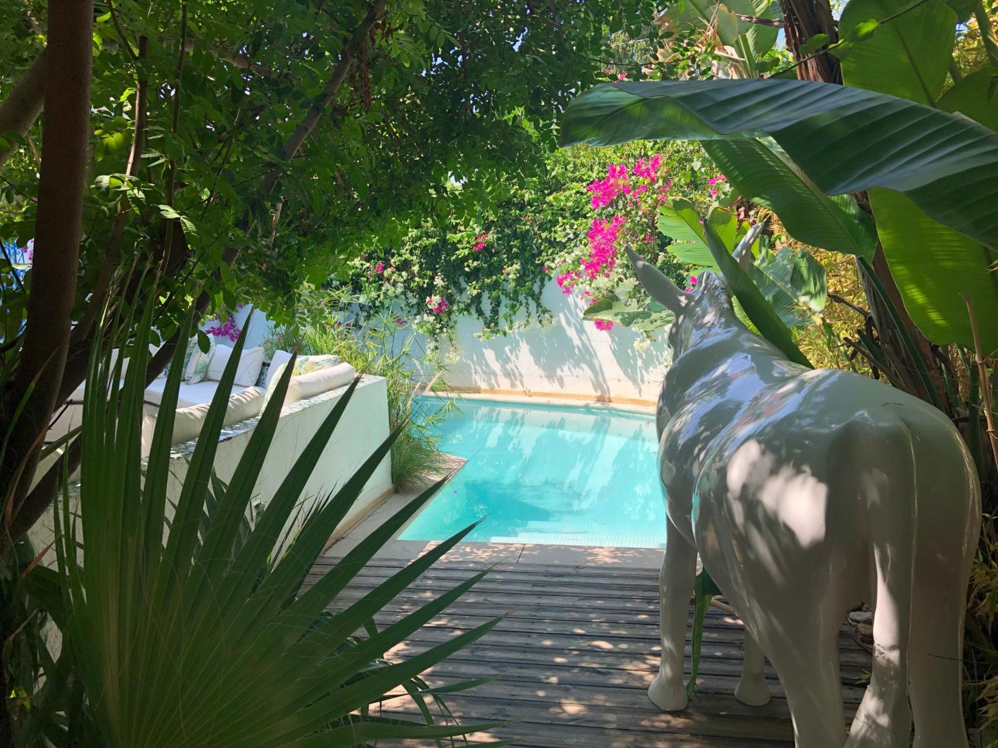 Dar Marsa Cubes Otel La Marsa Dış mekan fotoğraf